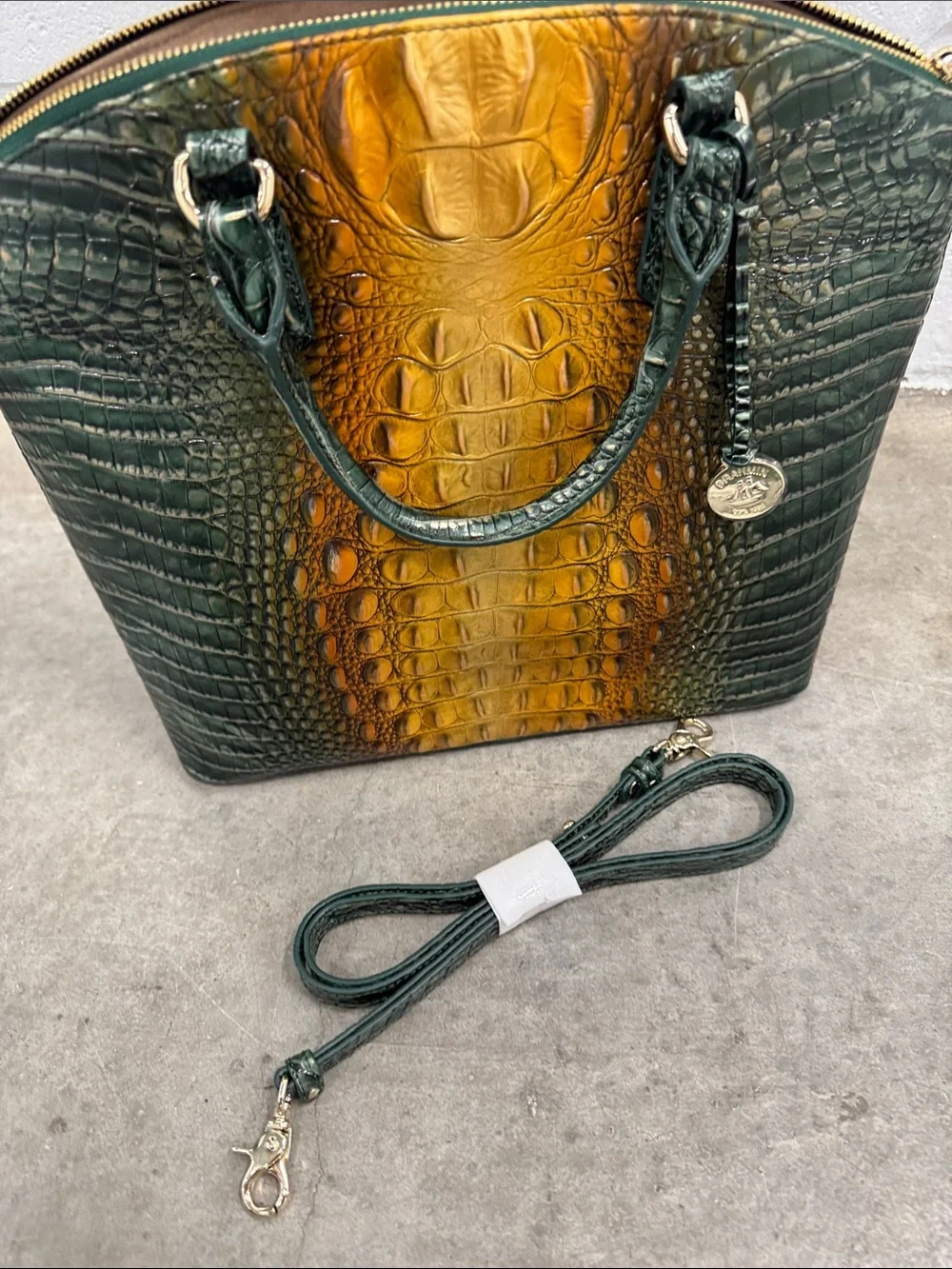 Brahmin Duxbury Bayleaf Ombré Green and Amber Croc-Embossed Leather Satchel